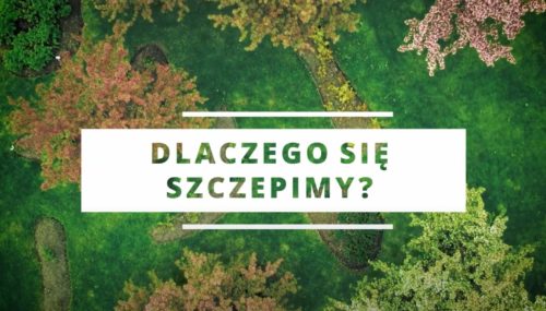 Polish - Why Do We Vaccinate?