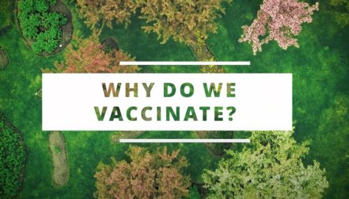 Why Do We Vaccinate?